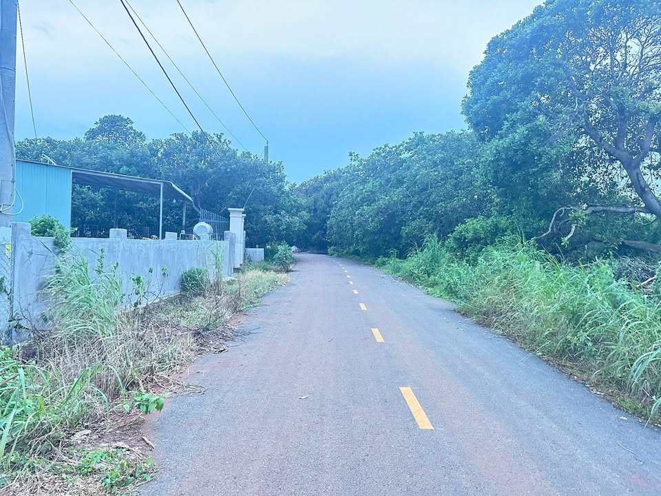 Đất thổ cư Bưng Riềng, Xuyên Mộc 400m² giá chỉ 1.5 tỷ - Cơ hội đầu tư Hot!