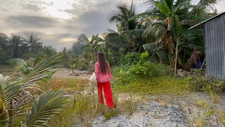 Đất vườn Phước Hậu Vĩnh Long 5626m² giá 14 tỷ - Đầu tư sinh lời hấp dẫn!