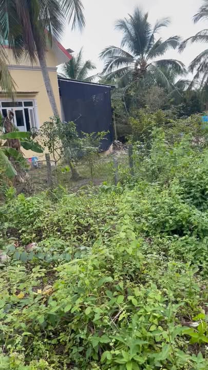 Đất nền Phường Phước Hậu - TP Vĩnh Long 420,1m² giá 2,5 tỷ - Đầu tư sinh lời ngay!