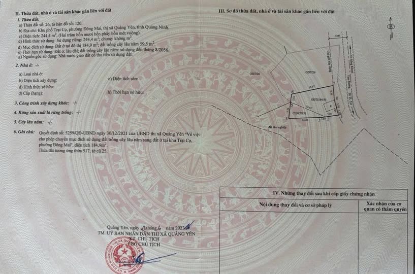 Đất nền trục chính KCN Đông Mai, Quảng Yên 244,4m² - Đầu tư sinh lời ngay!