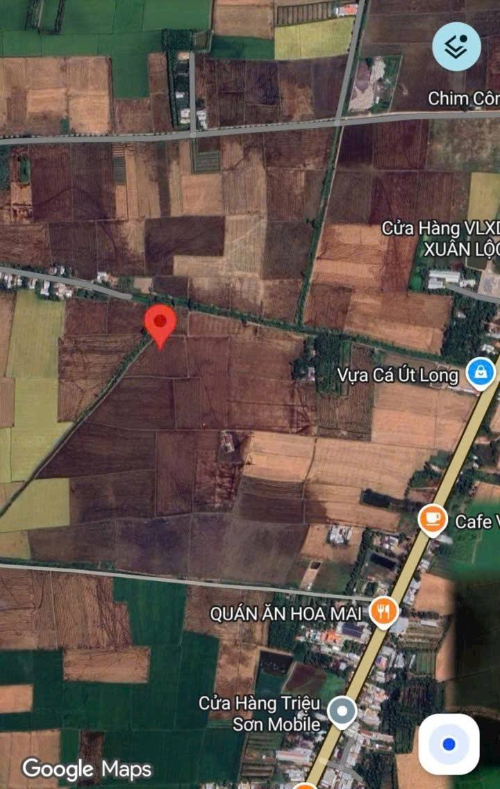 Đất nền Trường Khánh B, Sóc Trăng 6000m² giá 1.656 tỷ - Tiềm năng đầu tư lớn!