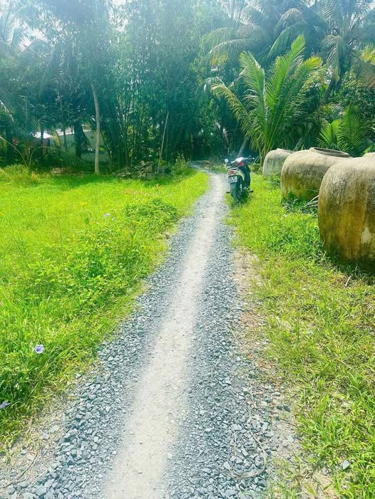 Đất nền Trà Côn, Trà Ôn 200m² giá 180 triệu - View sông tuyệt đẹp!