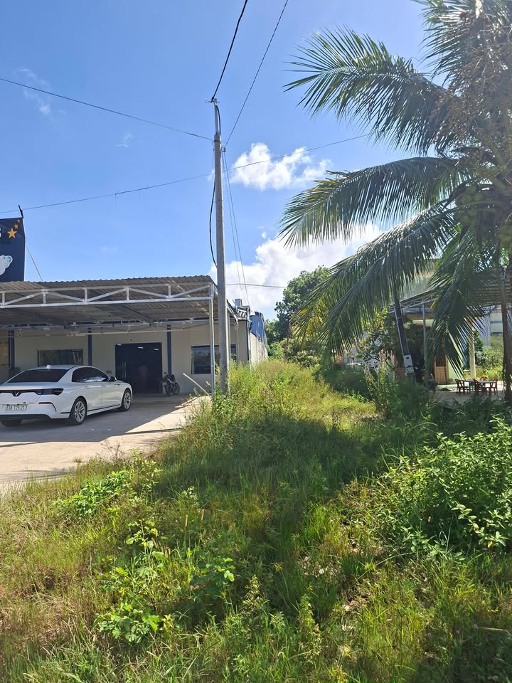 Đất nền khu phố 3 Tân Nghĩa 300m² giá 300 triệu - Mặt tiền Quốc lộ 55A