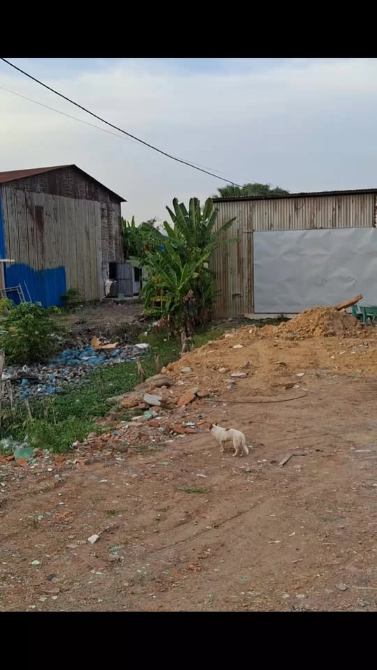 Đất vườn 500m² xã Đức Hòa Thượng giá 850 triệu - Cơ hội đầu tư tuyệt vời!