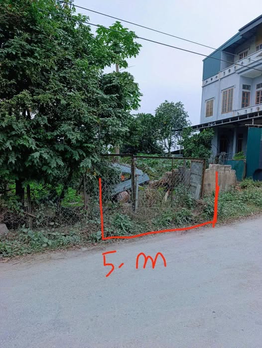 Đất nền Đông Lĩnh, thị trấn Rừng Thông 96m² giá 1 tỷ - Cơ hội đầu tư tuyệt vời!