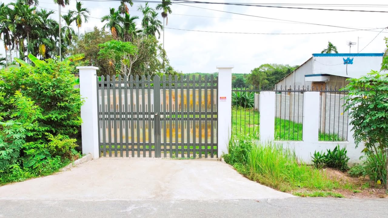 Farm đường Nguyễn Thị Dòn, Củ Chi 3528m² - Khu vườn lý tưởng cho Homestay!