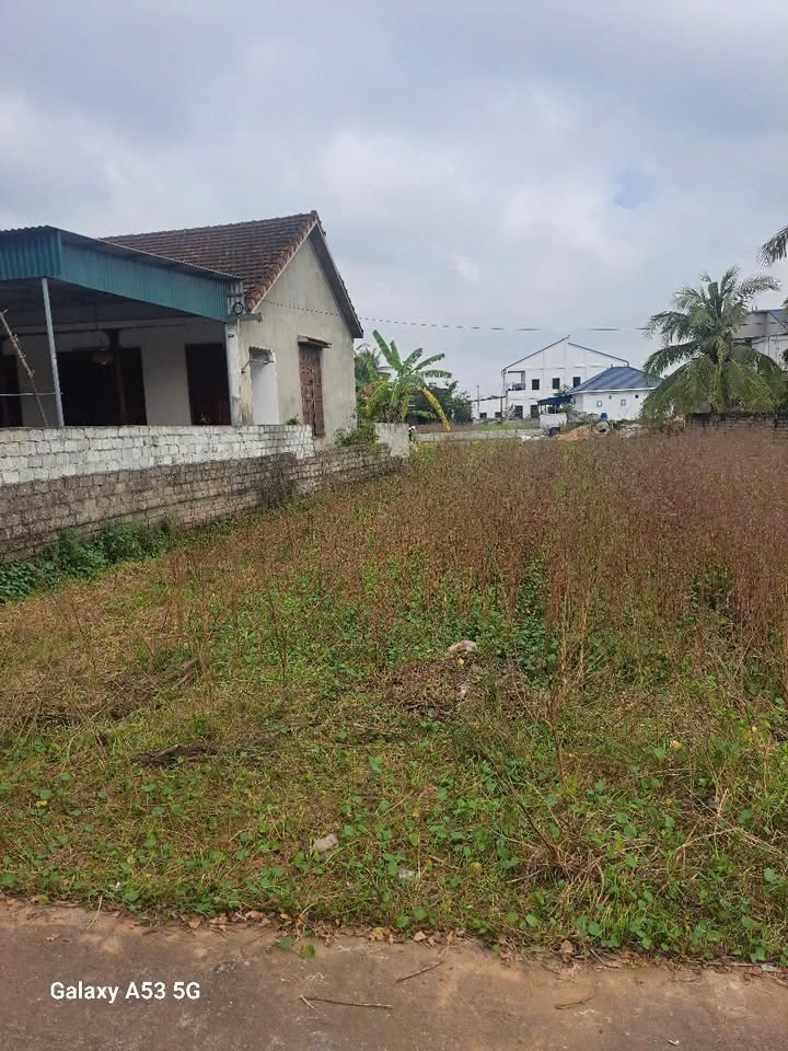 Bán lô đất đẹp Diễn Phong 288m² giá 2 tỷ - Đầu tư sinh lời dễ dàng!