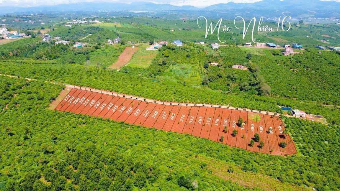 Đất nghỉ dưỡng Tân Hà, Lâm Hà 274m² giá 550 triệu - View sân bay quốc tế Liên Khương!