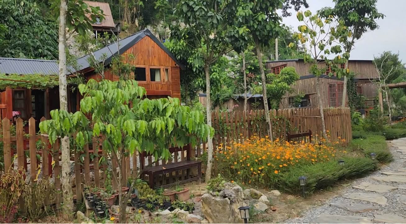 Đất Kỳ Phú Ninh Bình 1800m² giá 3 tỷ - Cơ hội đầu tư hiếm có!