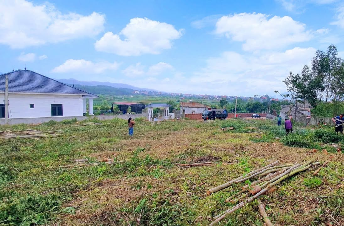 Đất nền 1150m² tại Lục Nam, Bắc Giang - Giá chỉ 1 tỷ, gần trường học!