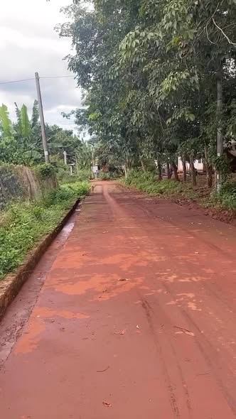 Đất nền Lộc Tấn 2000m² giá 450 triệu - Sổ đỏ chính chủ, xây dựng tự do!