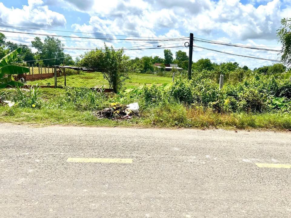 Đất mặt tiền nhựa An Thuận, Hiệp Hòa, Đức Hòa, Long An 1850m² giá 3.05 tỷ - Cơ hội đầu tư hấp dẫn!