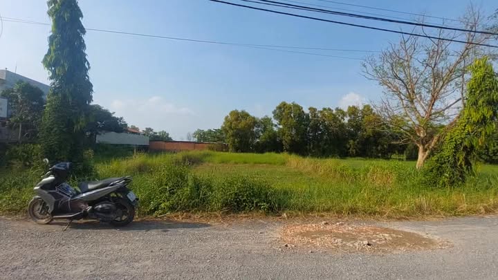 Đất vườn Tân Thạnh Đông 805m² giá 5 tỷ - Thích hợp làm kho xưởng!