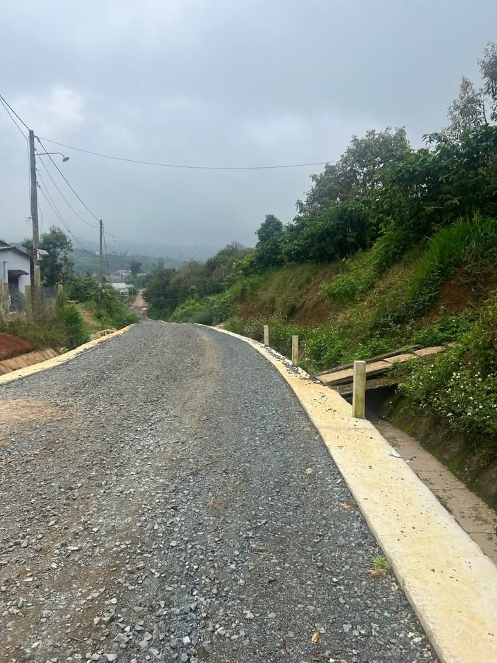 Đất nền Đinh Trang Hòa 3600m² giá 2.6 tỷ - Đường ô tô đến tận nơi!