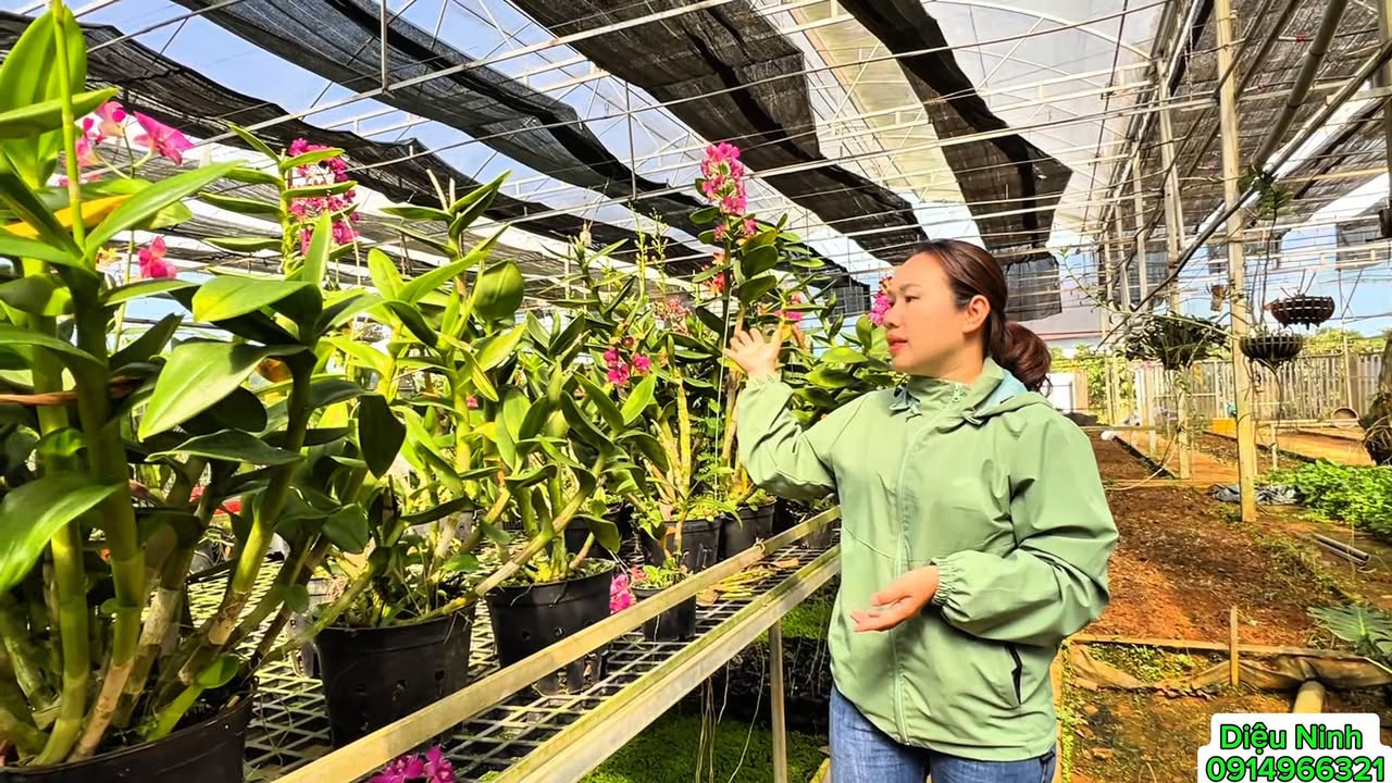 Đất nền Bảo Lộc 1884m² giá 8.5 tỷ - Đầu tư lý tưởng cho nghỉ dưỡng!