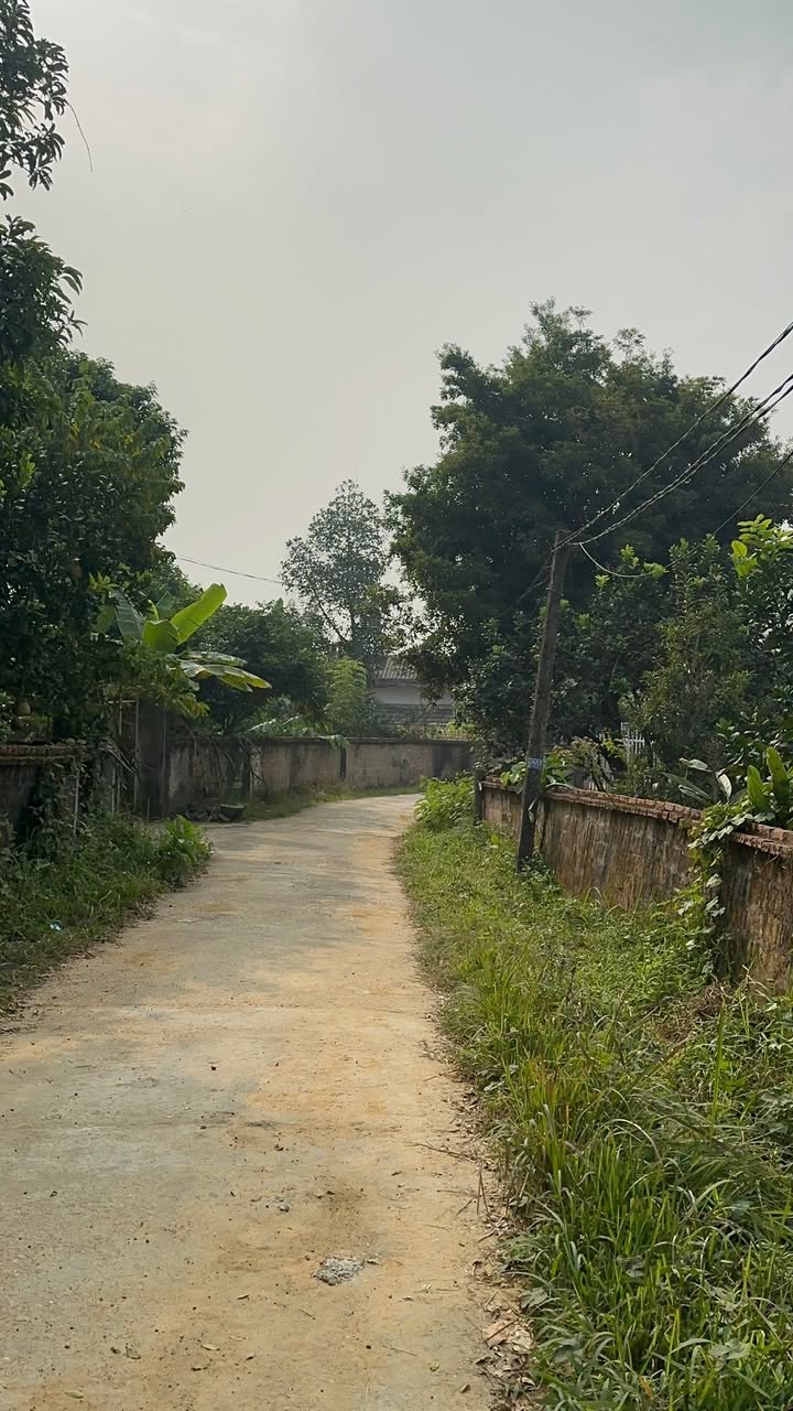 Đất nền 500m² tại xã Chân Mộng, Đoan Hùng, giá chỉ 500 triệu - Cơ hội đầu tư hấp dẫn!