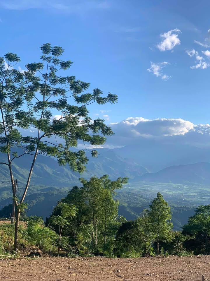 Đất nền thổ cư 5000m² tại Suối Giàng, Yên Bái - Tiềm năng sinh lời vượt trội!