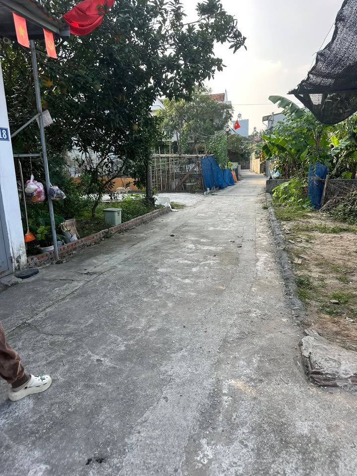 Đất nền Ninh Sở 45m² giá 3.3 tỷ - Sổ đỏ vuông vắn, ô tô vào tận nơi!