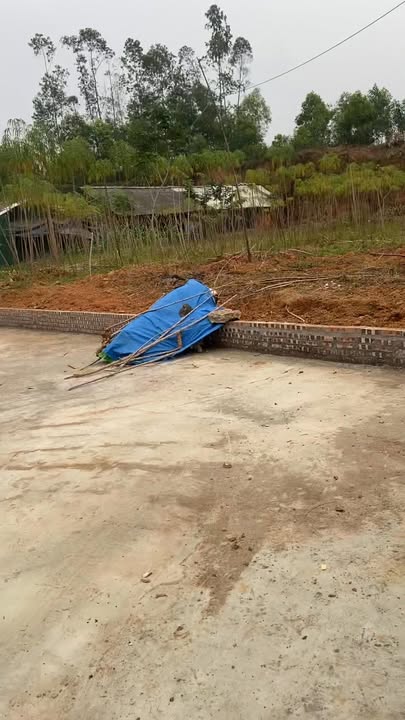 Đất thổ cư Hiền Lương, Hạ Hòa 935m² - Giá thỏa thuận hấp dẫn!