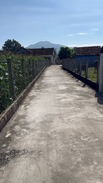 Đất thổ cư Tây Giang, Tây Sơn 128m² giá 280 triệu - Cơ hội đầu tư tuyệt vời!