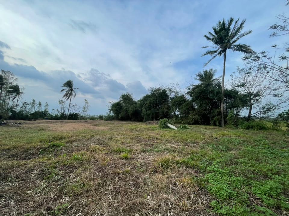 Đất mặt tiền Quốc lộ 19, xã Tây Xuân, 4514.7m² giá 39.5 tỷ - Cơ hội đầu tư sinh lời!