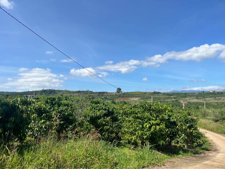 Lô đất Tân Văn Lâm Hà 100m² giá thỏa thuận - Sổ đỏ chính chủ!