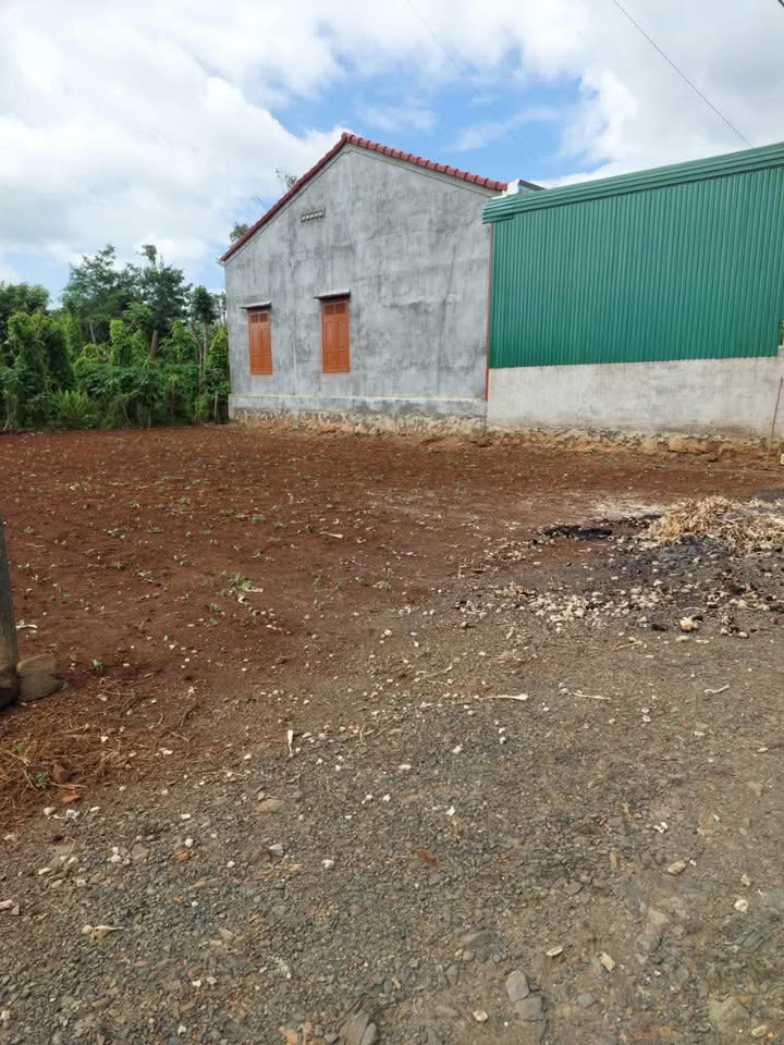 Đất nền khu phố 13, phường Nam Dong, diện tích 246m² - Đầu tư lý tưởng!