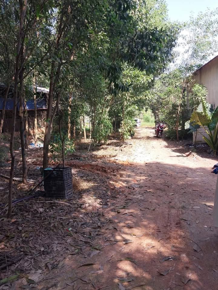 Đất thổ cư 100m², tổng diện tích 2000m² tại Vĩnh Tân, Đồng Nai - Nhà đẹp, vườn rộng!