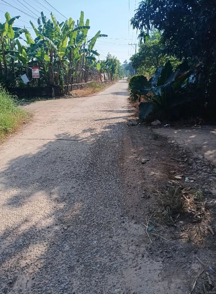 Đất thổ cư 100m² mặt tiền Petong, xã Vĩnh Tân, 2000m² giá chỉ 2.5 tỷ - Cơ hội đầu tư hấp dẫn!