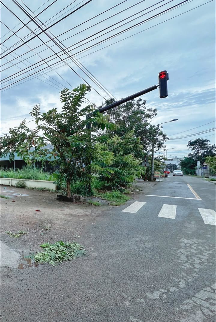 Đất nền mặt tiền Nguyễn Chí Thanh Long Khánh 130m² giá 2.9 tỷ - Cơ hội đầu tư tuyệt vời!