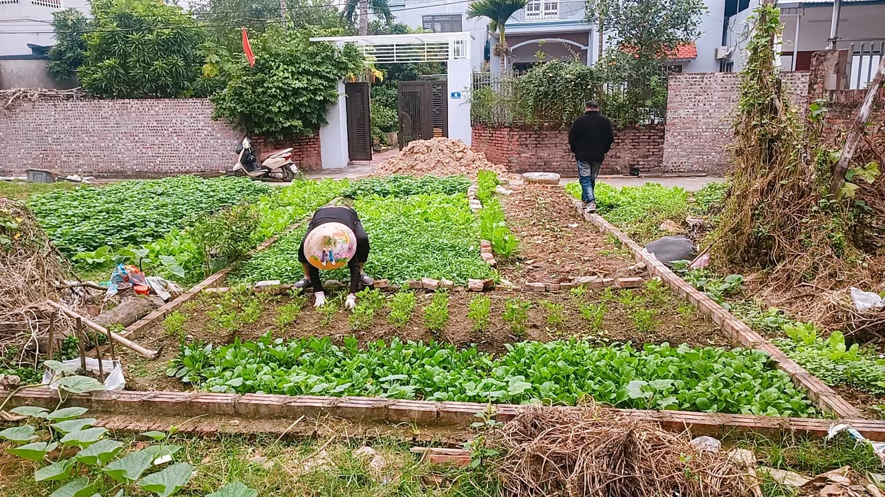 Đất nền 40m² Quang Tiến Sóc Sơn chỉ 1 tỷ - Đầu tư sinh lời ngay!