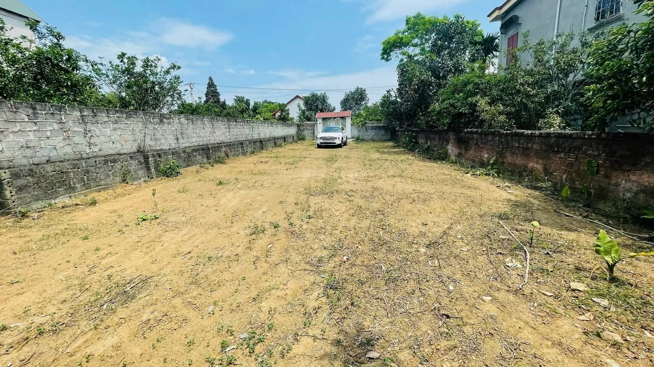 Đất thổ cư Tản Lĩnh Ba Vì 498m² - Sổ đỏ chính chủ, giá thỏa thuận!