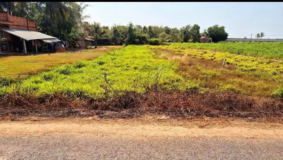 Đất thổ cư Hảo Đước, Tây Ninh 378m² giá chỉ 399 triệu - Đầu tư sinh lời ngay!