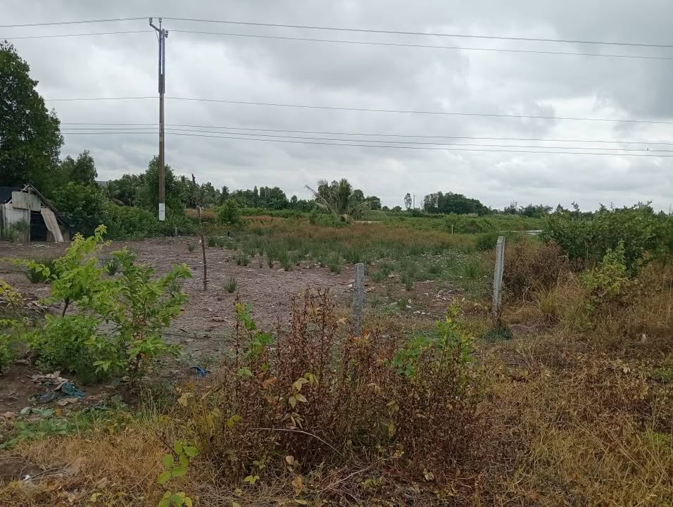 Đất nền xã Tân Thạnh - Cà Mau 1200m² giá chỉ 1.2 tỷ - Đầu tư sinh lời ngay!