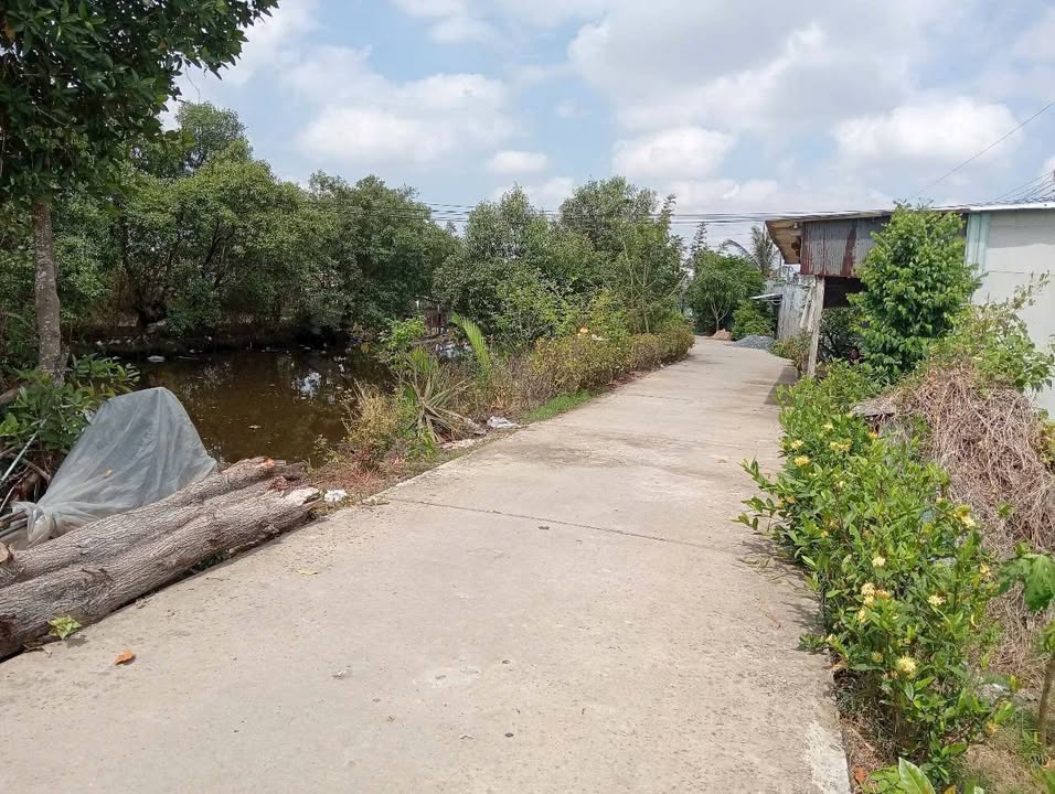 Đất nền 1080m² tại Lý Văn Lâm, Cà Mau - Phù hợp kinh doanh và xây dựng nhà vườn!