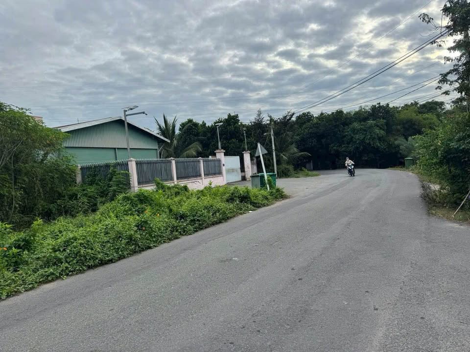 Đất Nền Mặt Tiền Đường 19, Xã Nhuận Đức, Huyện Củ Chi Diện Tích 128m² - Cơ Hội Đầu Tư Hiếm Có!