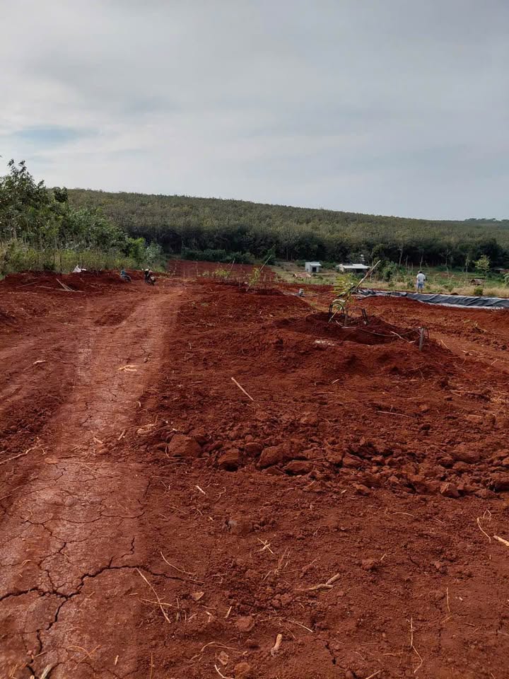 Đất nền Lộc An 10,000m² giá chỉ 2.4 tỷ - Đầu tư lý tưởng!