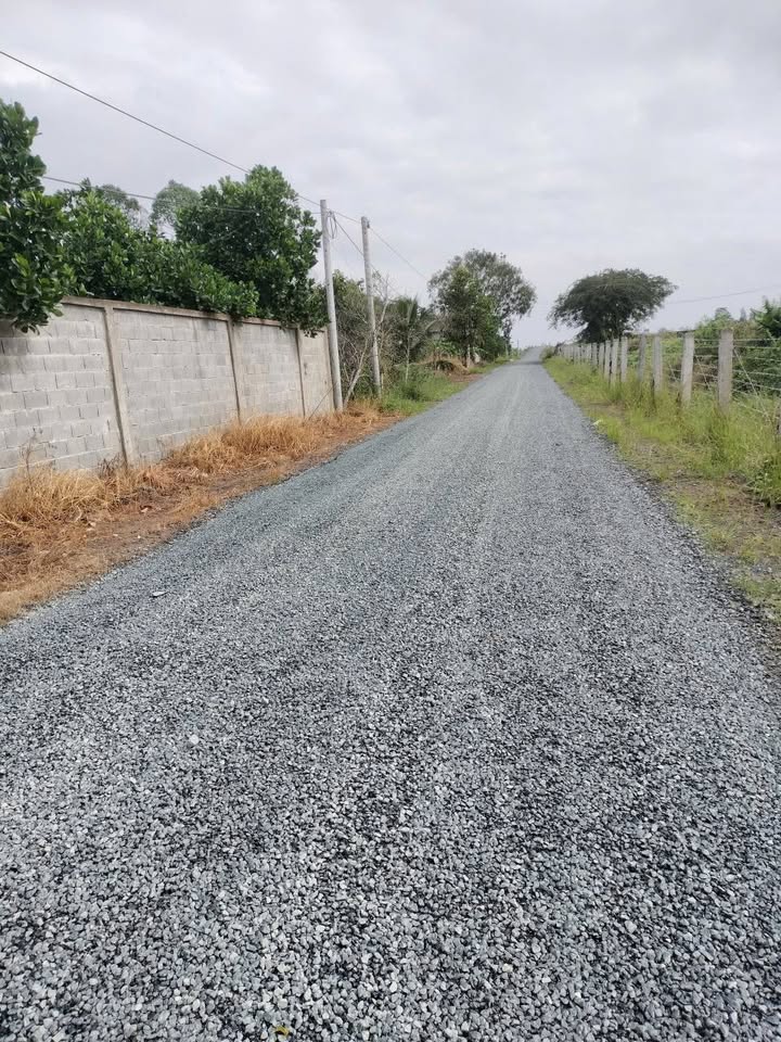 Đất nông nghiệp Định An Lấp Vò 15.000m² giá 7.5 tỷ - Gần cầu Vàm Cống!