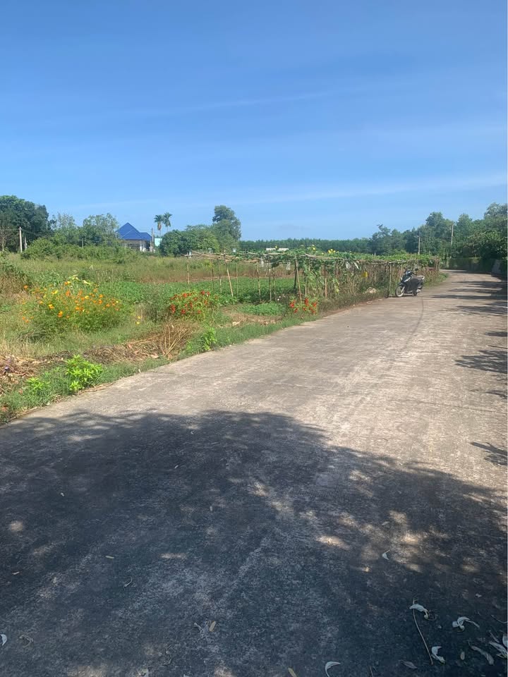 Đất thổ cư Tân Trung, Phước Tân, Xuyên Mộc 176m² giá 950 triệu - Sổ đỏ chính chủ, đầu tư sinh lời!