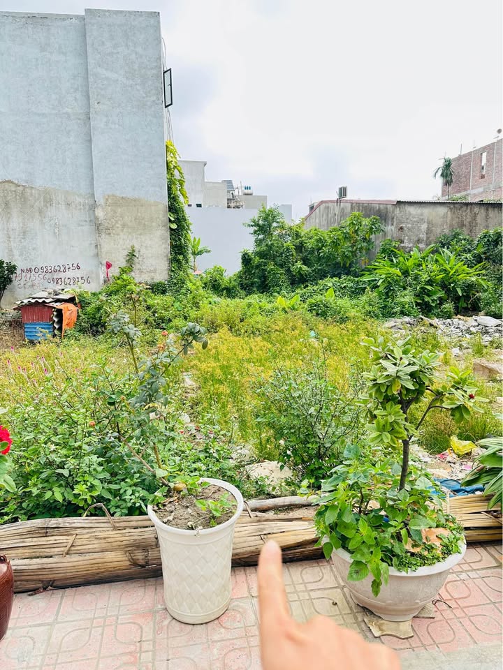 Đất nền 85m² mặt đường Vân Tra, An Đồng chỉ 3,5 tỷ - Cơ hội đầu tư tuyệt vời!