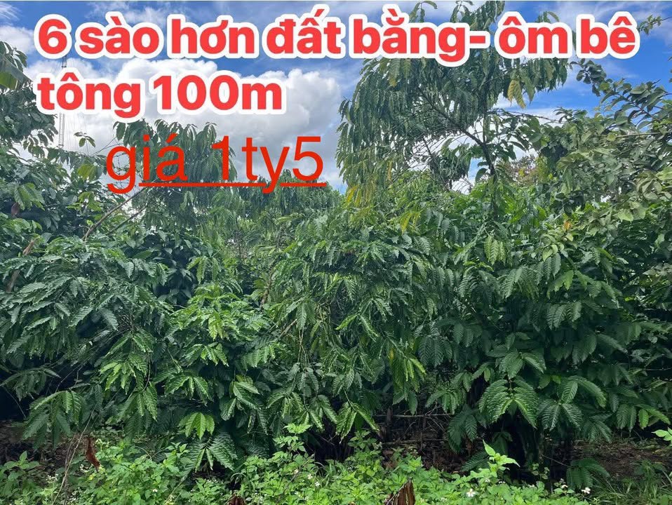 Đất nền Đạ Rsal, Đam Rông 600m² giá 1.5 tỷ - Sổ đỏ chính chủ, vị trí đắc địa!