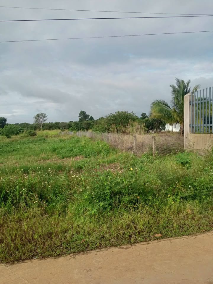 Đất nền Bảo Hòa, Xuân Lộc 7200m² chỉ 1.4 tỷ - Sổ đỏ chính chủ!