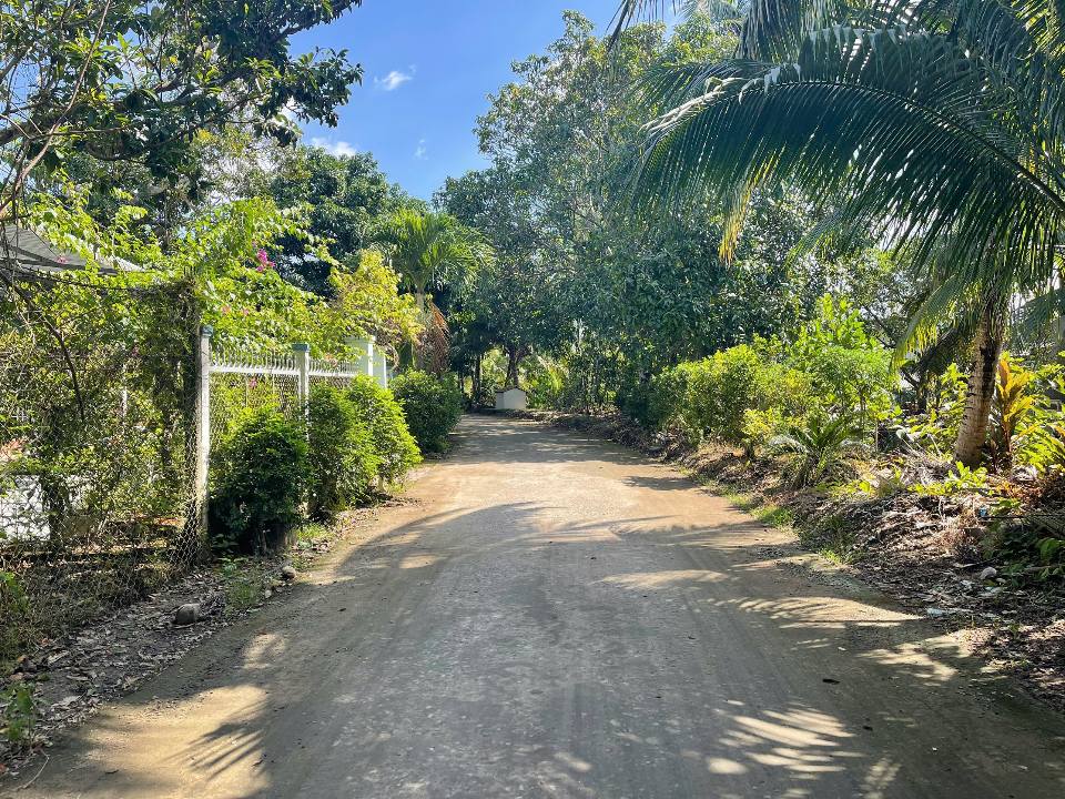 Đất Farm nghỉ dưỡng Rạch Ông Dựa, Bình Thủy, Cần Thơ 1250m² - Giá chỉ 7.5 tỷ!