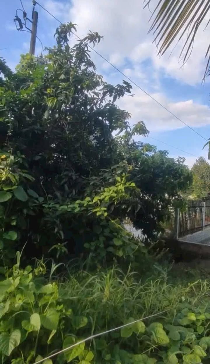 Đất nền Phú Thứ, Cái Răng 540m² giá chỉ 2.65 tỷ - Đầu tư sinh lời tuyệt vời!