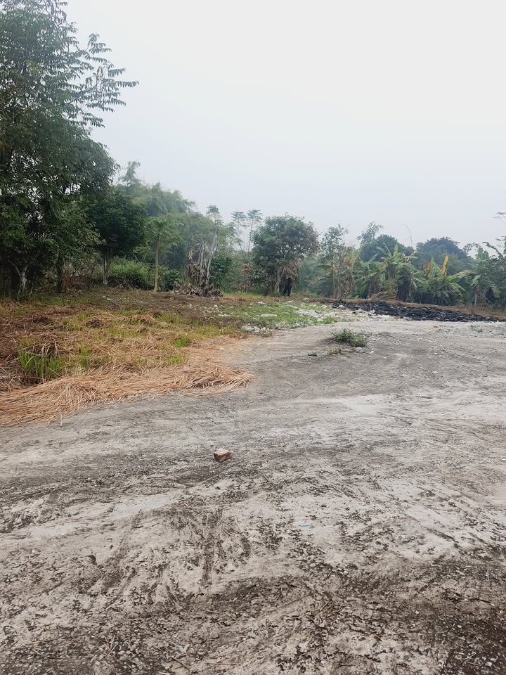 Đất thổ cư 200m² mặt đường 45m tại phường Văn Phú, Lào Cai - Đầu tư sinh lời cao!