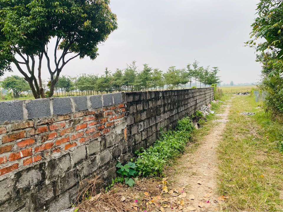 Đất nền Vũ Lạc 200m² mặt tiền 14m - Đường ô tô vào tận nơi!