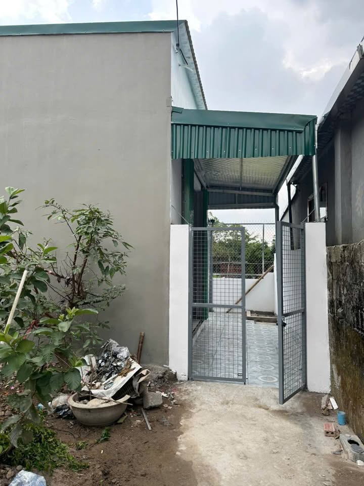 Đất tặng nhà C4 mới Nghĩa Chính Vũ Thư 55,5m² - Cơ hội đầu tư hấp dẫn!