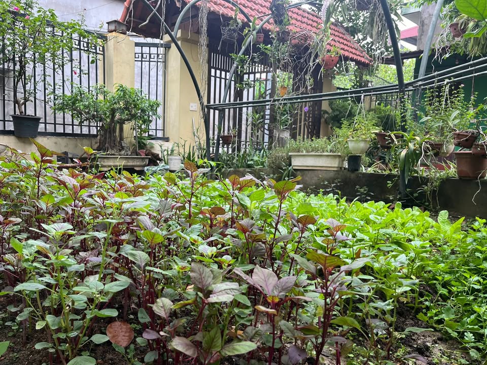 Đất đẹp Phú Lương, Hà Đông 103m² giá 8.1 tỷ - Tiềm năng đầu tư lớn!