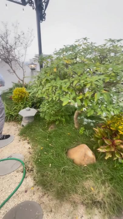 Nhà phố Tân Thụy, Phúc Đồng, 65m² giá 21.6 tỷ - Thiết kế hiện đại, Full nội thất!