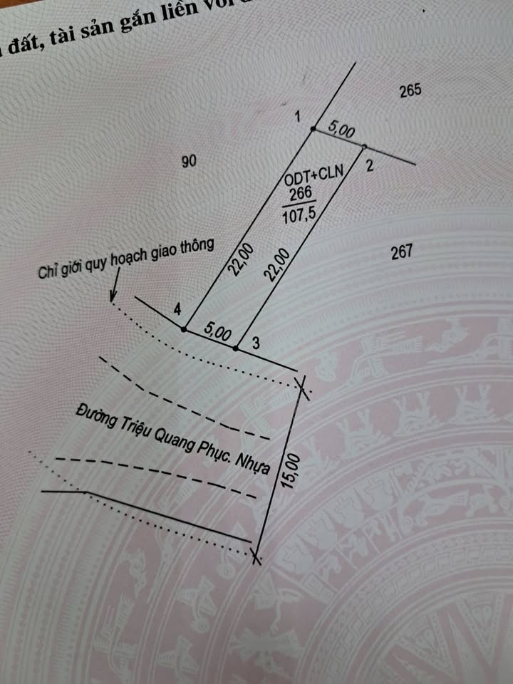 Đất kinh doanh mặt tiền Triệu Quang Phục, Đồng Hới 110m² - Cơ hội đầu tư tuyệt vời!